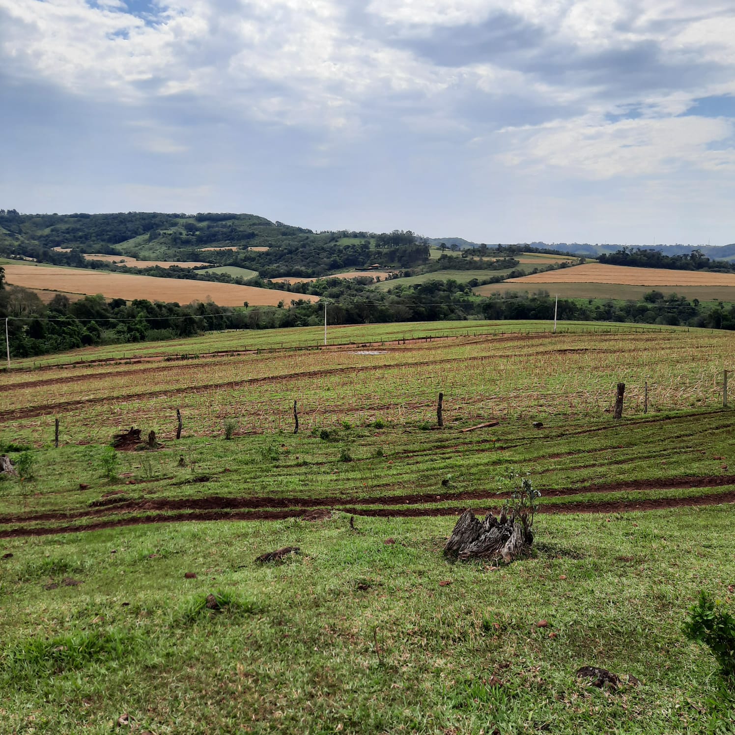 FAZENDA COM 74 HECTARES EM LINDOESTE - PR  (dupla aptidão) boa de  agua e estrutura, como,  casa e mangueiras, cerca eletrica