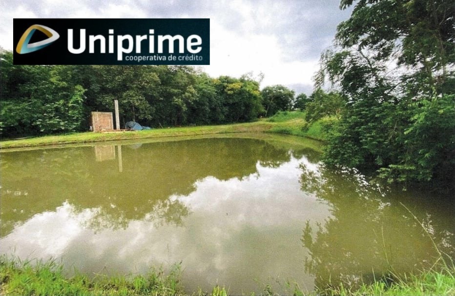 LOTE RURAL COM  ÀREA DE 20.000 m2  EM TOLEDO  PR (DISTRITO VILLA NOVA)