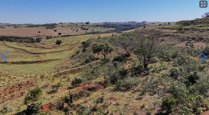 Lote Rural Em Pérola - Pr Lote Rural, Gleba El-dourado • 20,32ha Pérola - Pr, localizado em Perola - PR, bairro Zona Rural