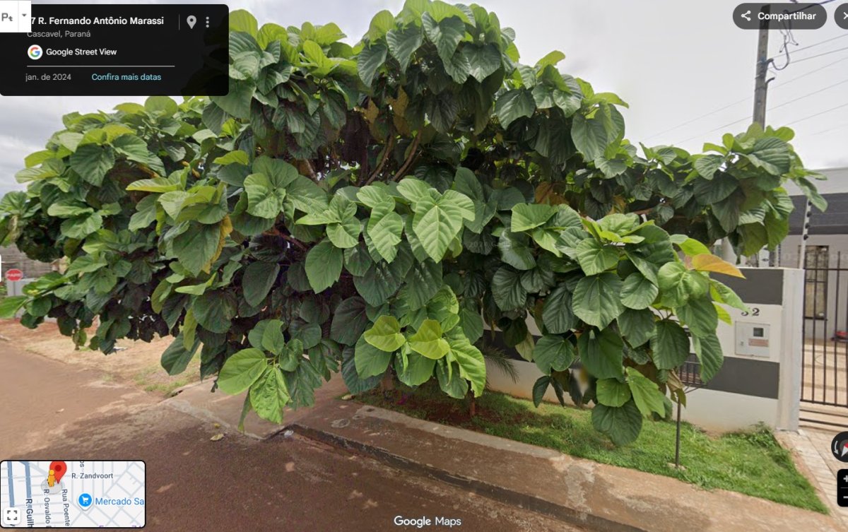 Terreno Com 261,85 M2 - Lote 03 Quadra 06 - Loteamento Jabora - Cascavel Pr, localizado em Cascavel - PR