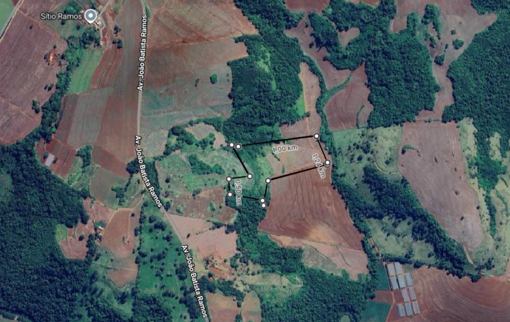 Foto 6
