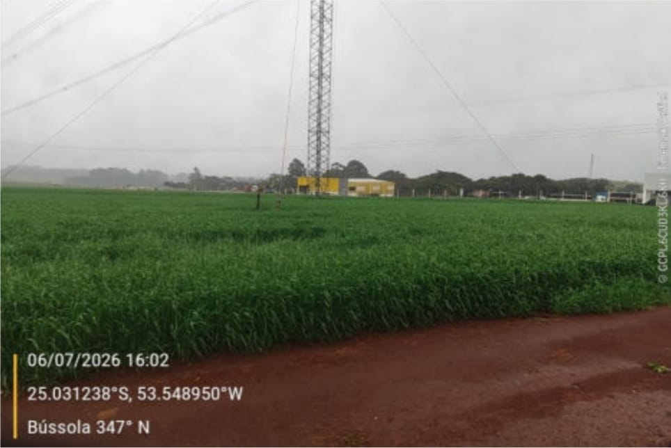 Imagem do imóvel Terreno Industrial Com 20.062 M2 ( Núcleo Industrial Cascavel Saída Para Capitão L. Marques)